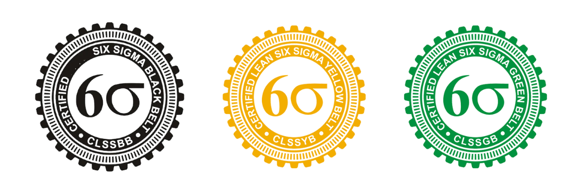 six sigma belt