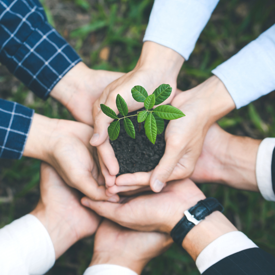 RSE et performance : mythe ou levier de compétitivité pour les entreprises ?